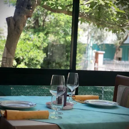 Room In Bb - Hotel Villa Alexandra Only 30 Meters From The Sea *